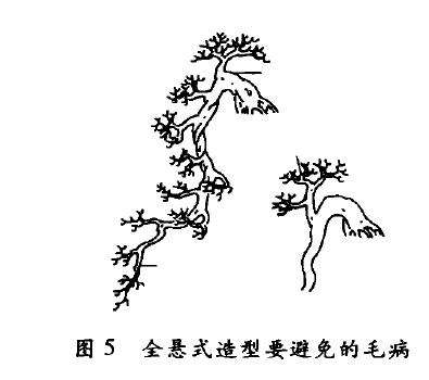 图解 悬崖式盆景怎么配盆造型的4个方法