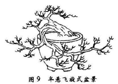 半悬崖飞旋式盆景