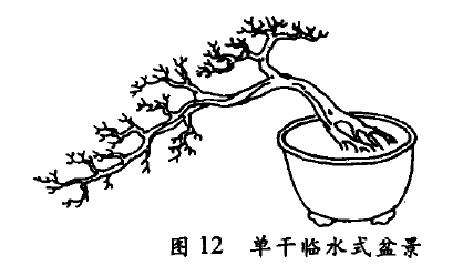 单干临水式盆景怎么配盆造型