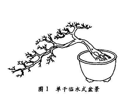 单干临水式盆景怎么配盆造型