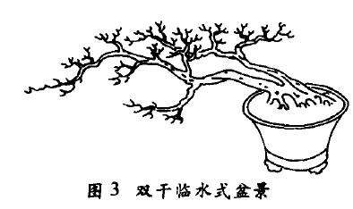 双干临水式盆景怎么配盆造型