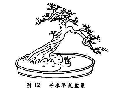半水旱式盆景怎么配盆造型的4个方法