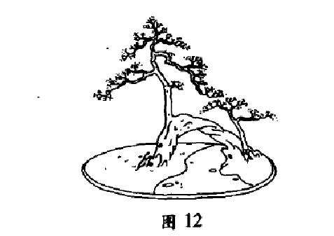 双树过桥式盆景怎么配盆造型