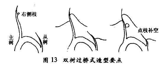 双树过桥式盆景怎么配盆造型