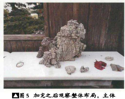 图解 山水盆景《惊涛一笑万山去》创作小记