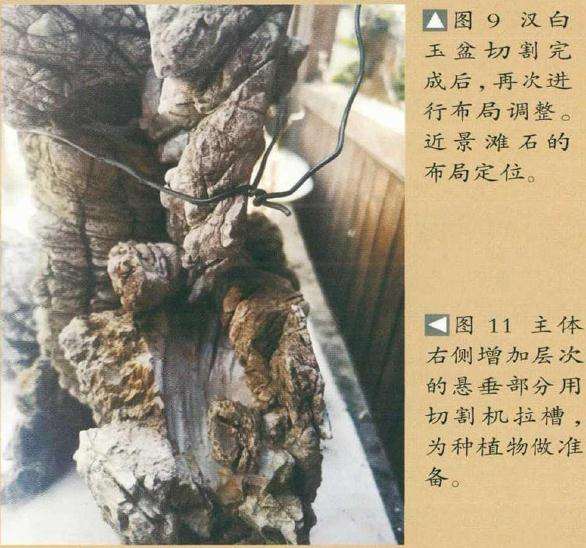 图解 山水盆景《惊涛一笑万山去》创作小记