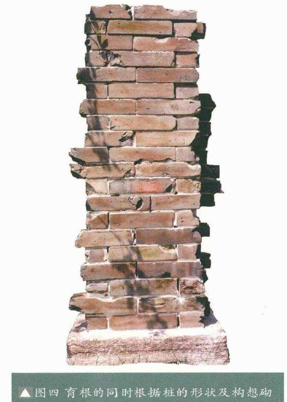 韩学年制作附壁榕树盆景的过程