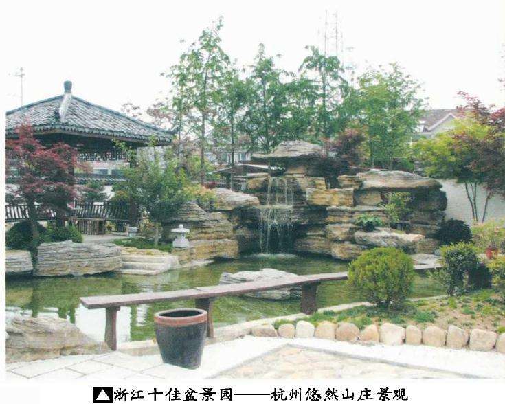 浙江省盆景行业五十强评选圆满落幕