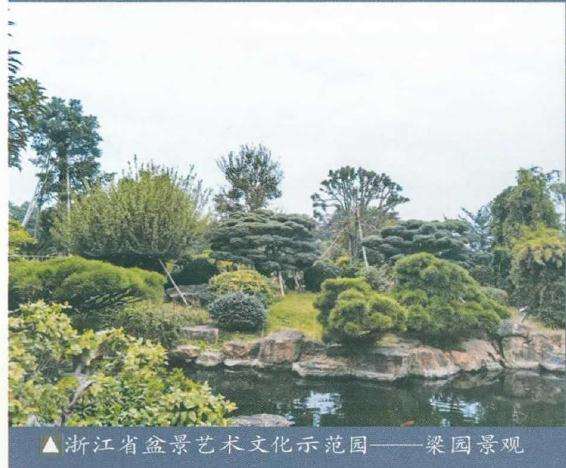 浙江省盆景行业五十强评选圆满落幕