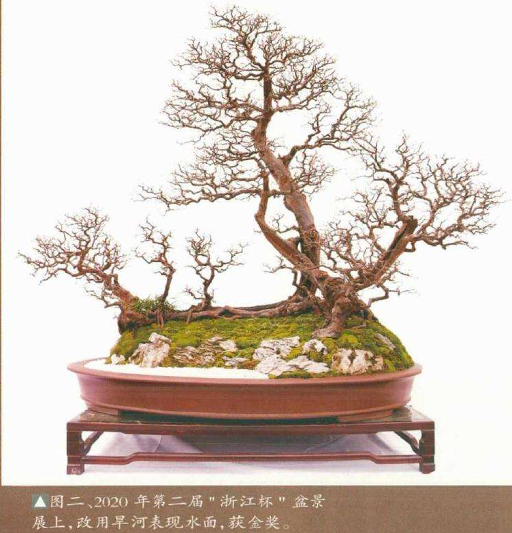 水旱盆景表现形式的探索