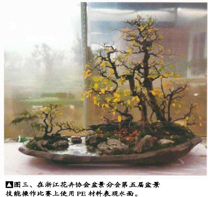 水旱盆景表现形式的探索