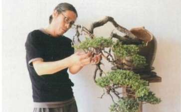 盆景产业成为沭阳县的强力引擎