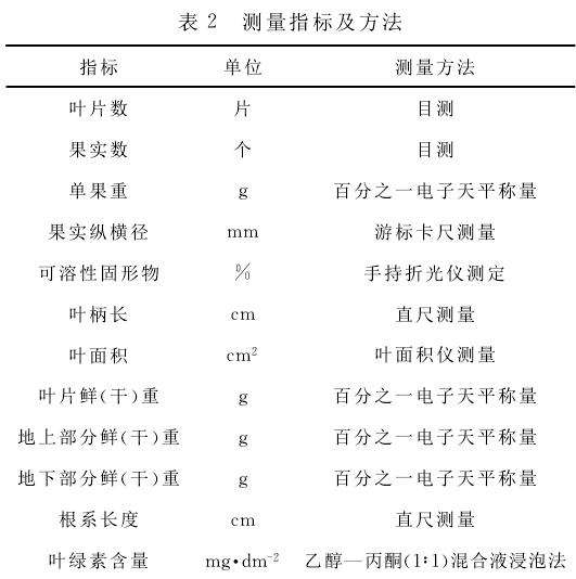 不同碳渣配比对盆栽草莓生长的影响