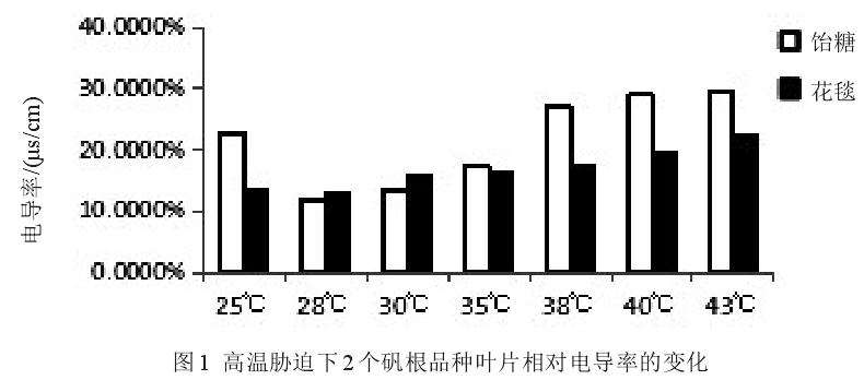 高温胁迫对2个矾根盆栽品种生理特性的影响