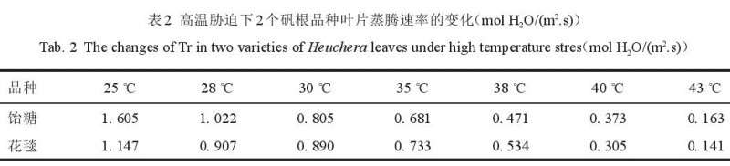 高温胁迫对2个矾根盆栽品种生理特性的影响