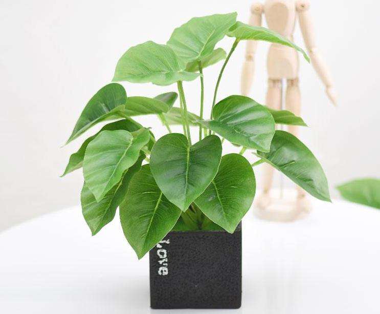 促进我国盆栽植物出口的对策