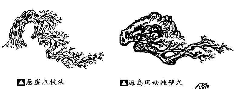 浅谈岭南盆景的蟹爪垂枝法
