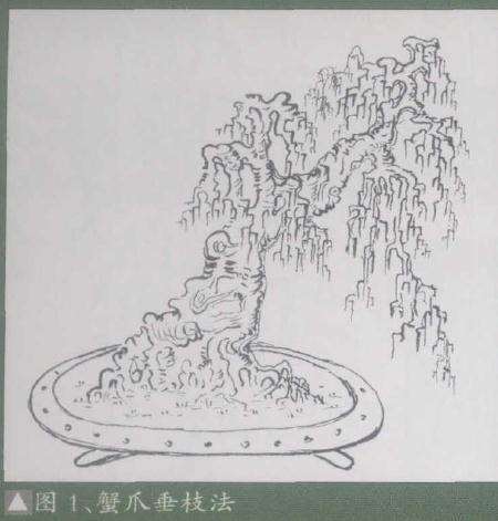 浅谈岭南盆景的蟹爪垂枝法