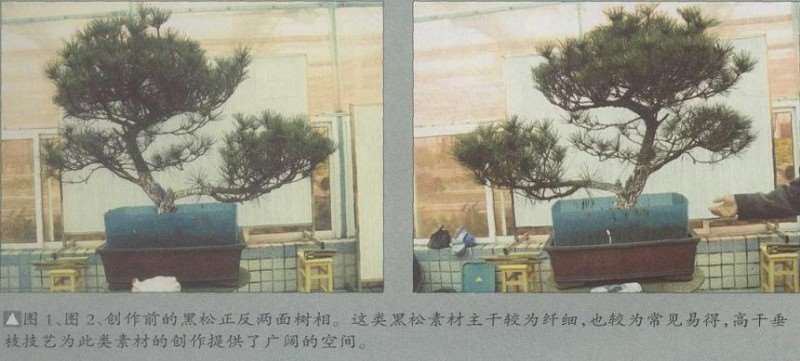 江西农大花卉盆景教学实习基地