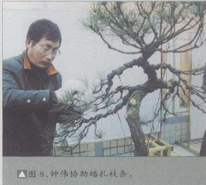 钟伟协助瑶扎枝条