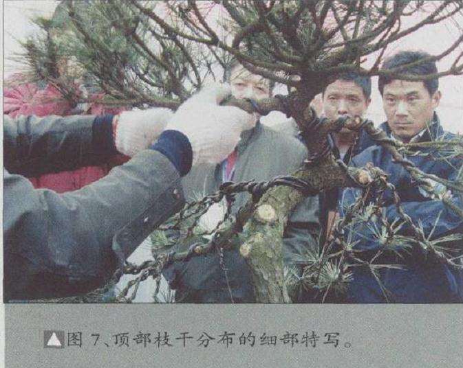 对顶部进行处理