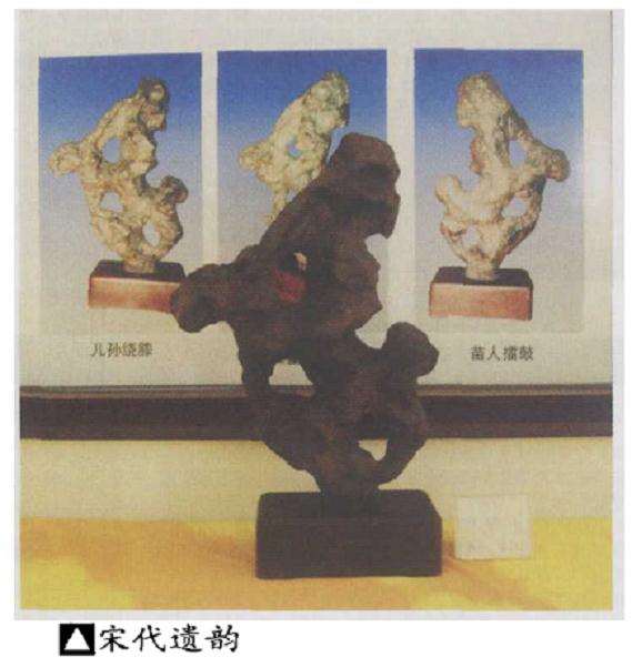 常州春季盆景奇石展