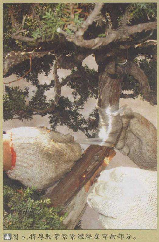 将厚胶带紧紧缠绕在弯曲部分