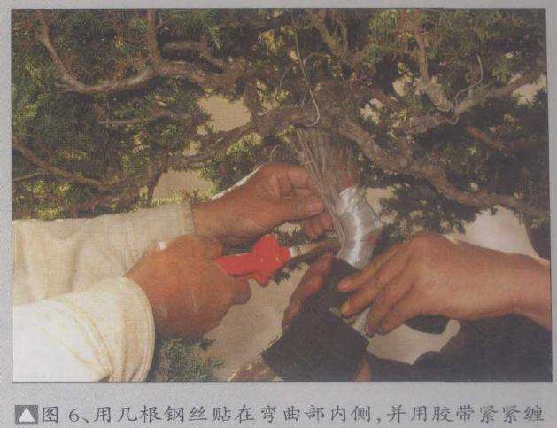 用几才民钢丝贴在弯曲部内侧