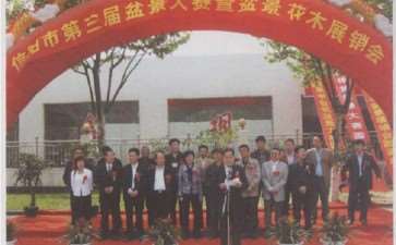 2009年信阳第三届盆景大赛 图片