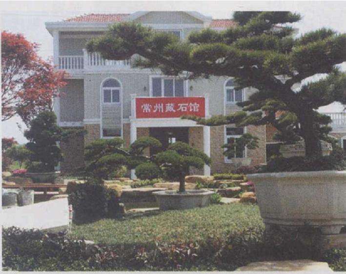 常州盆景展销的成交量很高