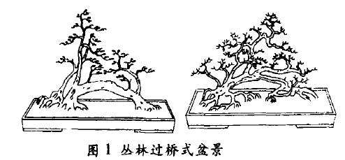 丛林过桥式盆景怎么配盆造型