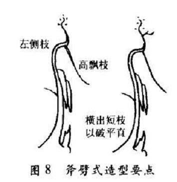 图解 斧劈式盆景怎么配盆造型的4个方法