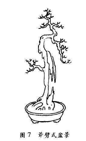 图解 斧劈式盆景怎么配盆造型的4个方法