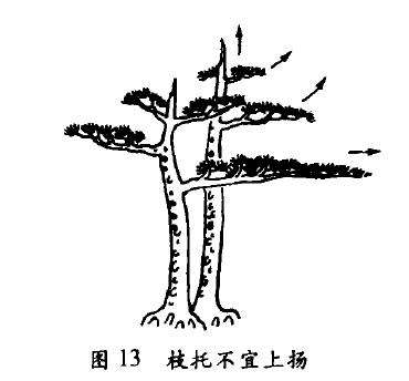 图解 枯朽型盆景怎么配盆造型的4个方法