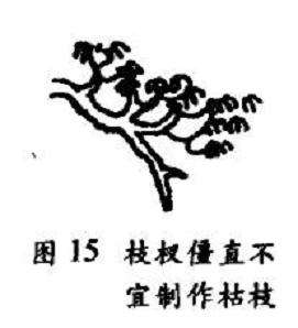 枯枝式盆景怎么配盆造型