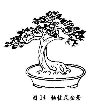 枯枝式盆景怎么配盆造型