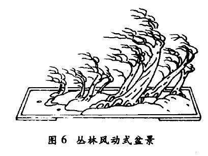 丛林风动式盆景