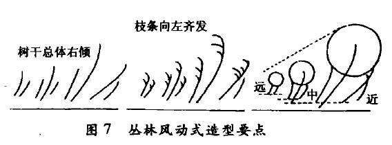 丛林风动式盆景