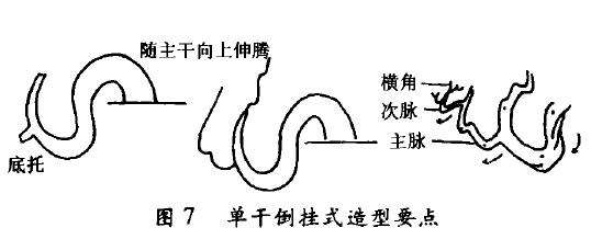 单干倒挂式盆景怎么配盆造型