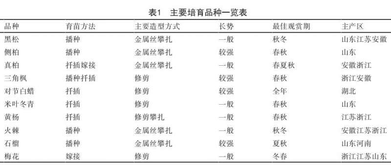 为什么盆景嫁接成型能增值2~3倍