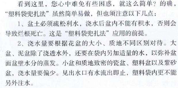 冬季出远门 盆花怎么浇水的5个方法