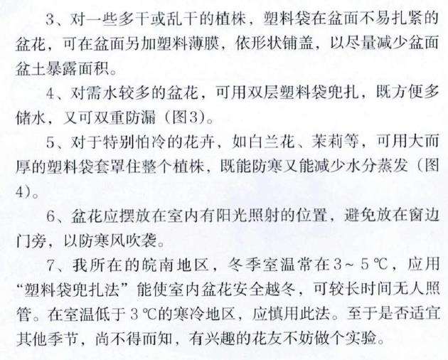 冬季出远门 盆花怎么浇水的5个方法