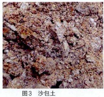 沙包土混合养兰花