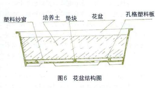 朱顶红播种怎么用培养土和盆子的方法
