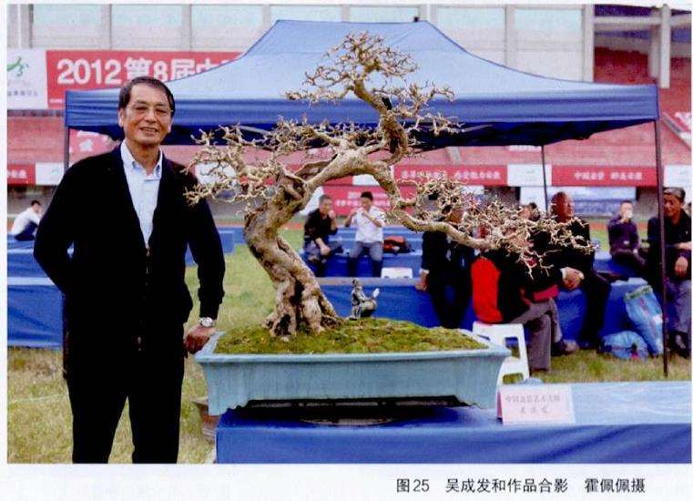 图解 吴成发怎么制作福建茶盆景的22个过程