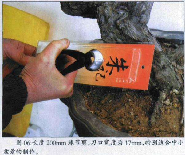 盆景球节剪怎么使用