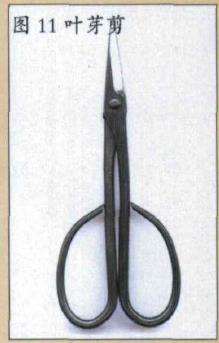 图解 盆景叶芽剪怎么使用的3个方法