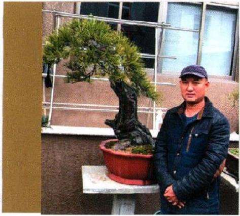 盆景大师谢信佐