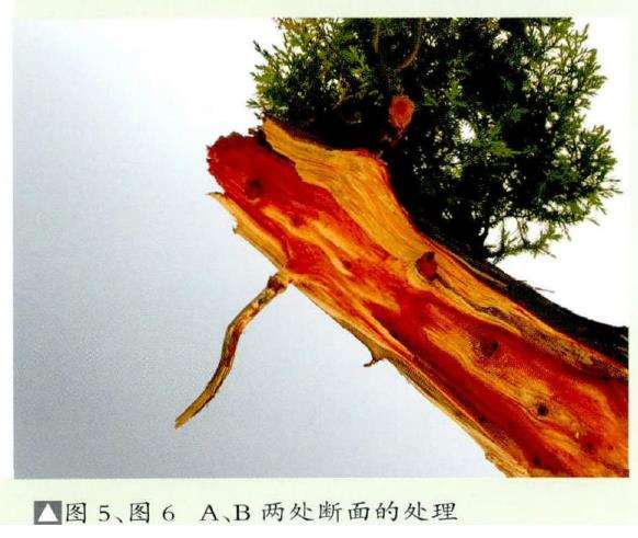 两处断面的处理