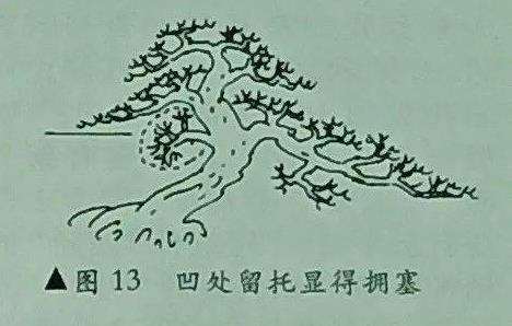 图解 树木盆景造型怎么阴阳向背